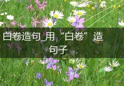 白卷造句_用“白卷”造句子