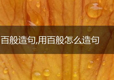 百般造句,用百般怎么造句