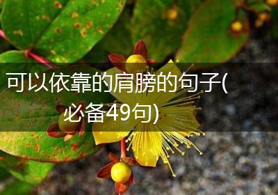 可以依靠的肩膀的句子(必备49句)