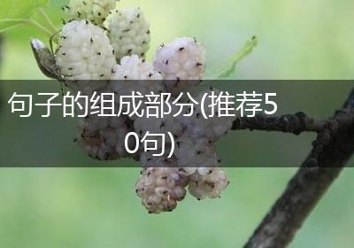 句子的组成部分(推荐50句)