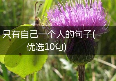 只有自己一个人的句子(优选10句)