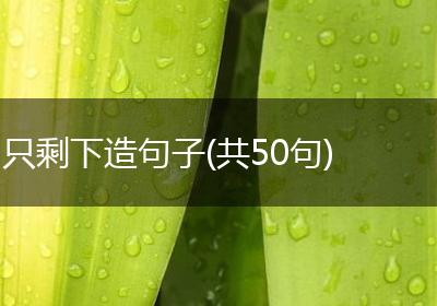 只剩下造句子(共50句)