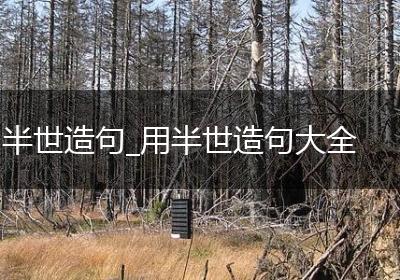 半世造句_用半世造句大全
