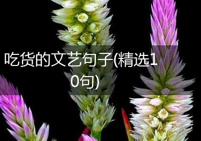 吃货的文艺句子(精选10句)