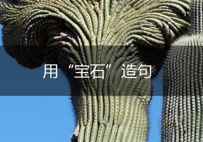 用“宝石”造句