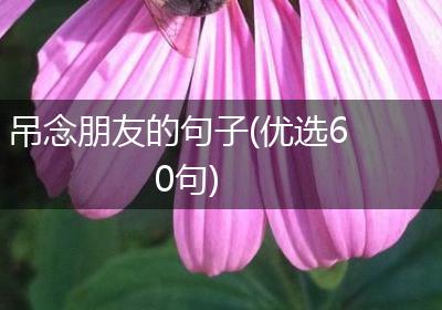 吊念朋友的句子(优选60句)