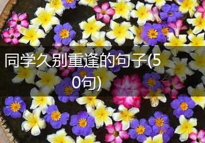 同学久别重逢的句子(50句)