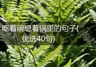 吃着碗想着锅里的句子(优选40句)