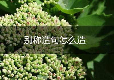 别称造句怎么造