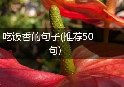 吃饭香的句子(推荐50句)