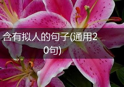 含有拟人的句子(通用20句)