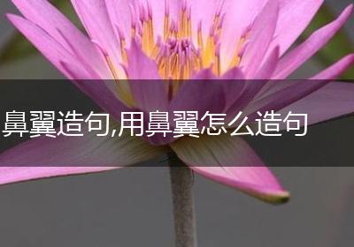 鼻翼造句,用鼻翼怎么造句