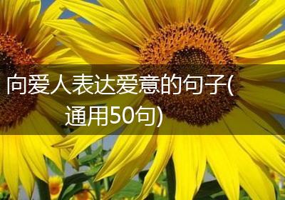 向爱人表达爱意的句子(通用50句)