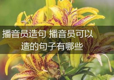 播音员造句 播音员可以造的句子有哪些
