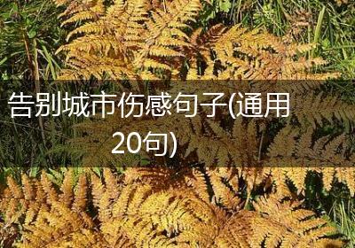 告别城市伤感句子(通用20句)