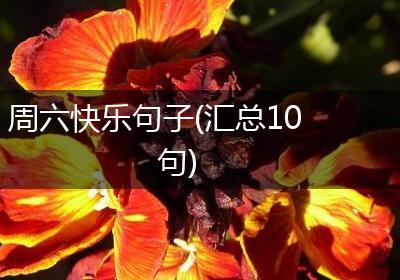 周六快乐句子(汇总10句)