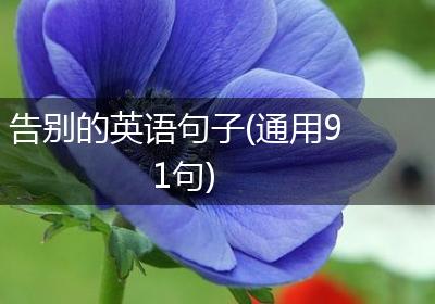 告别的英语句子(通用91句)