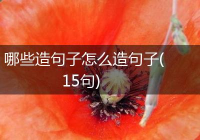 哪些造句子怎么造句子(15句)