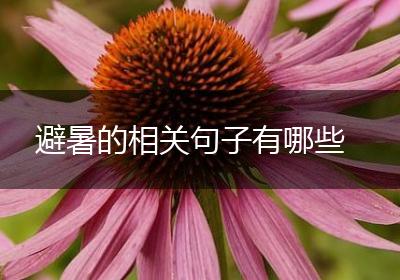 避暑的相关句子有哪些
