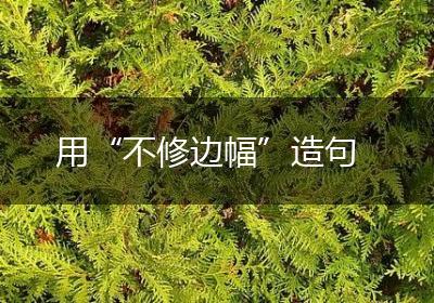 用“不修边幅”造句