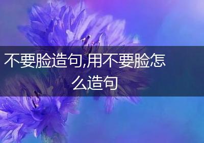 不要脸造句,用不要脸怎么造句