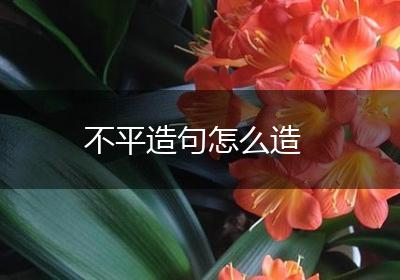 不平造句怎么造