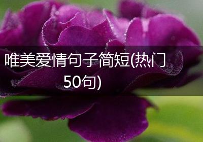 唯美爱情句子简短(热门50句)