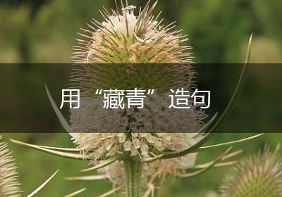 用“藏青”造句