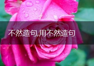 不然造句,用不然造句