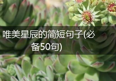 唯美星辰的简短句子(必备50句)