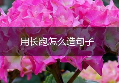 用长跑怎么造句子
