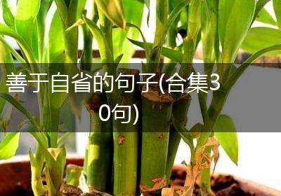 善于自省的句子(合集30句)