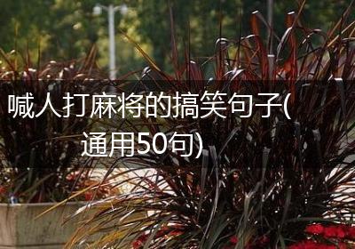 喊人打麻将的搞笑句子(通用50句)