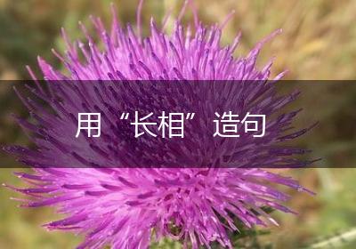 用“长相”造句