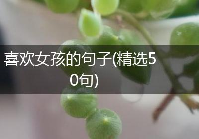 喜欢女孩的句子(精选50句)