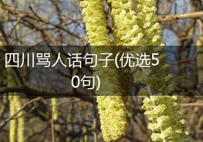 四川骂人话句子(优选50句)