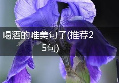 喝酒的唯美句子(推荐25句)