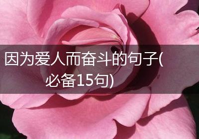 因为爱人而奋斗的句子(必备15句)