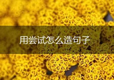 用尝试怎么造句子