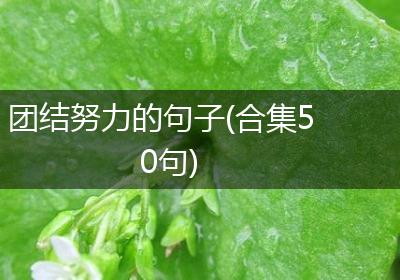团结努力的句子(合集50句)