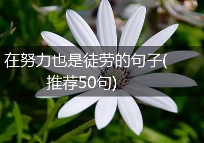 在努力也是徒劳的句子(推荐50句)