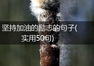 坚持加油的励志的句子(实用50句)