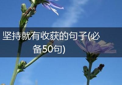 坚持就有收获的句子(必备50句)