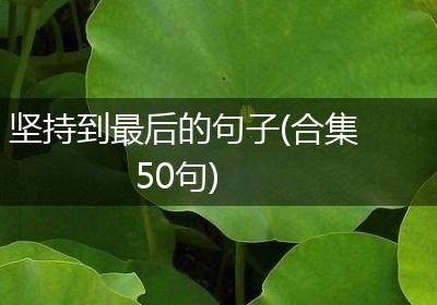坚持到最后的句子(合集50句)