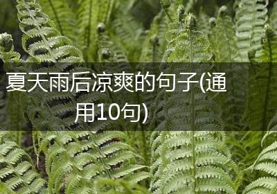 夏天雨后凉爽的句子(通用10句)