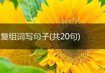 复组词写句子(共20句)