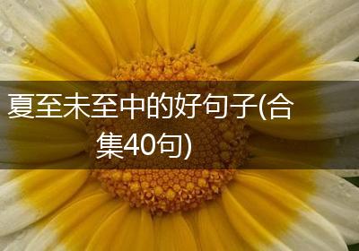 夏至未至中的好句子(合集40句)