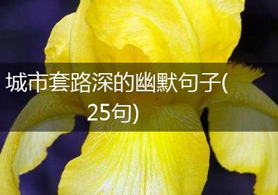 城市套路深的幽默句子(25句)
