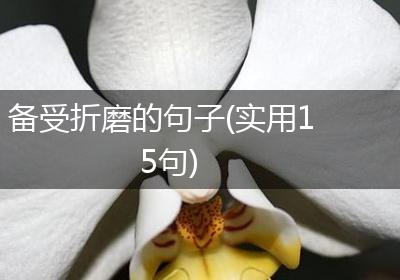 备受折磨的句子(实用15句)