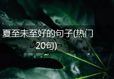 夏至未至好的句子(热门20句)